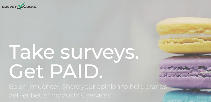 Take Surveys