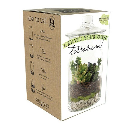 DIY Terrarium Kit